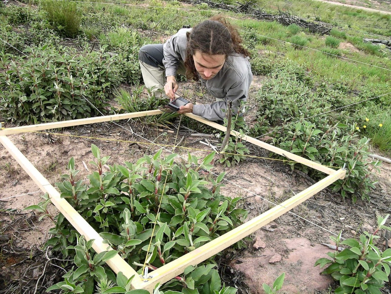 Sylvestris working on seeding and planting projects.