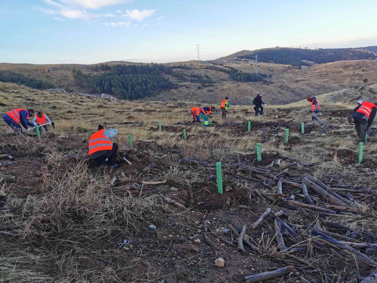 Repsol Impacto Social, Sylvestris y Land Life Company desarrollarán proyectos de reforestación en Península ibérica y Latinoamérica