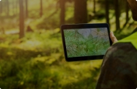 A man holds a tablet with a topographic map in a forest, while reforestation work is being carried out