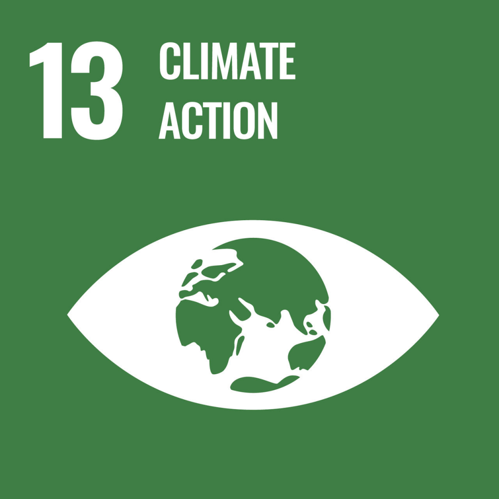 UN Sustainable Development Goal number 13: Climate action