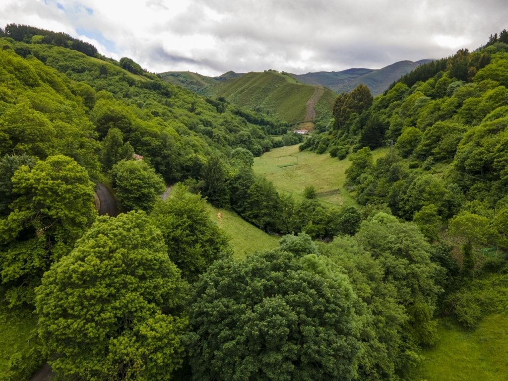 Image of a valley from the top of a mountain