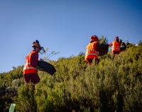 Reducción de la huella de carbono