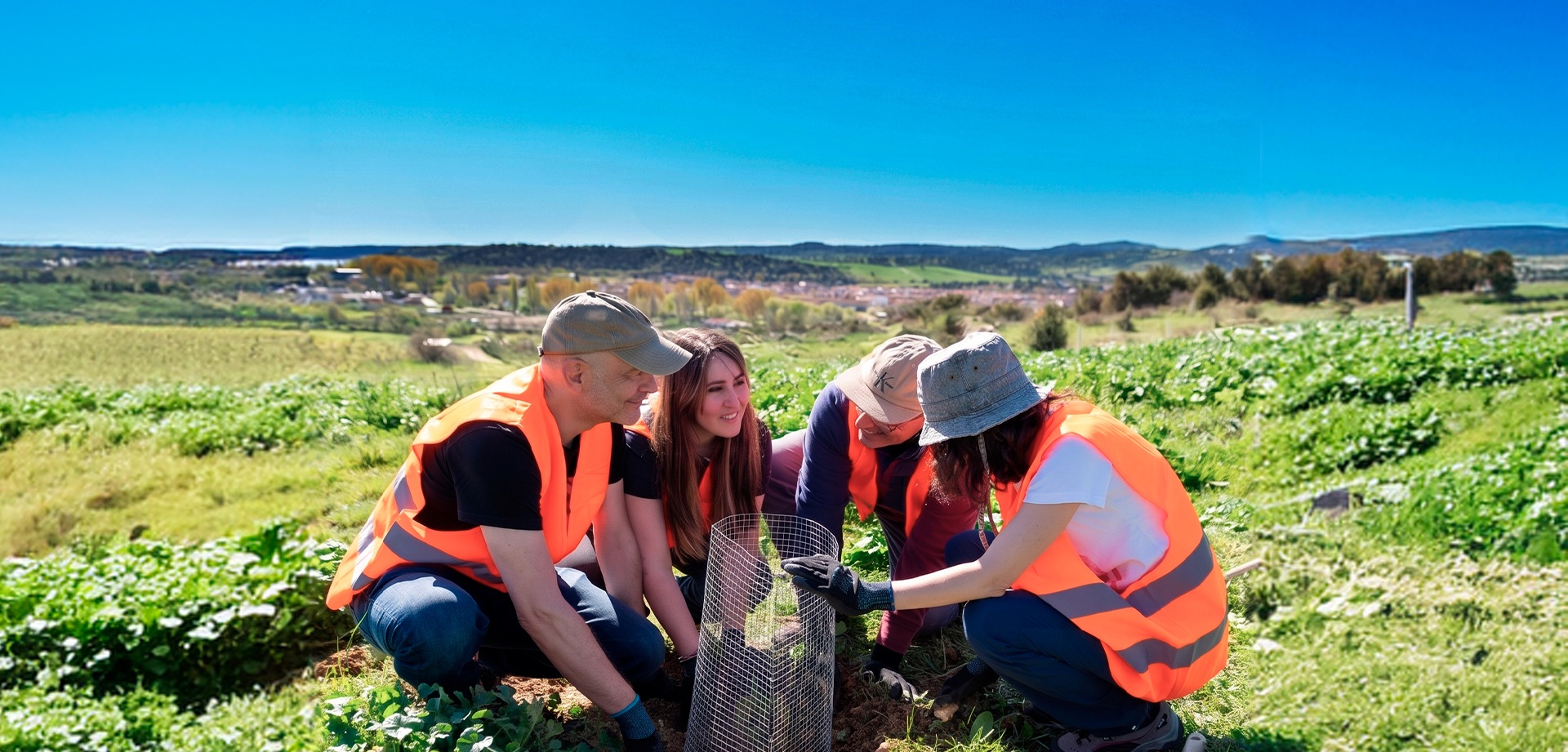 Voluntarios replantando árboles